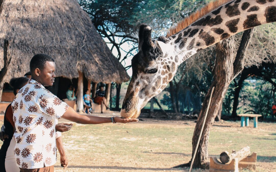 Ultimate Africa Safari Experience